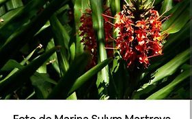 Jardín de Naipí 3